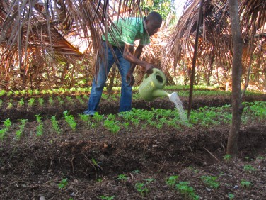 Répondre aux défis du XXIe siècle avec l’agro-écologie : pourquoi et comment ? Répondre aux défis du XXIe siècle avec l’agro-écologie : pourquoi et comment ?