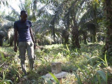 L’aide au développement et le cas Feronia Inc en RDC – GRAIN L’aide au développement et le cas Feronia Inc en RDC – GRAIN