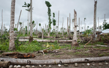 Le paquet énergie climat 2030 de l’Union européenne permet-il de garantir la sécurité alimentaire et énergétique dans le monde ? Le paquet énergie climat 2030 de l’Union européenne permet-il de garantir la sécurité alimentaire et énergétique dans le monde ?