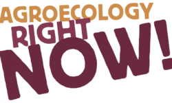 AErightnow-aspect-ratio-5-3