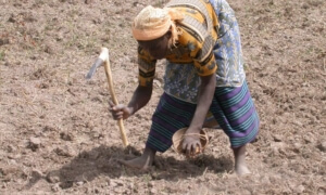 Capitalisation : Mesurer la contribution des projets à l’adaptation et à la résilience aux changements climatiques capitalisation-mesurer-la-contribution-des-projets-a-ladaptation-et-a-la-resilience-aux-changements-climatiques