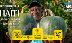 COVER_HAITIEXPO-aspect-ratio-5-3