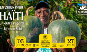 COVER_HAITIEXPO-aspect-ratio-5-3
