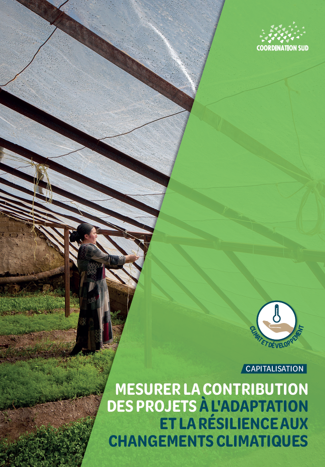 capitalisation-mesurer-la-contribution-des-projets-a-ladaptation-et-a-la-resilience-aux-changements-climatiques