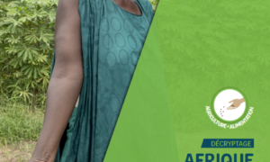Afrique de l'Ouest : les réseaux mobilisés pour défendre l'agroécologie afrique-de-louest-les-reseaux-mobilises-pour-defendre-lagroecologie
