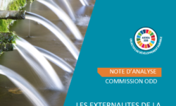 les-externalites-de-la-france-sur-les-odd-constats-et-recommandations