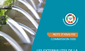 les-externalites-de-la-france-sur-les-odd-constats-et-recommandations