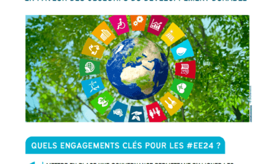 Recommandations pour un Parlement européen moteur en faveur des objectifs du développement durable recommandations-pour-un-parlement-europeen-moteur-en-faveur-des-objectifs-du-developpement-durable