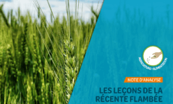 CoordinationSUD_Recente_flambee-cours-mondiaux_web-aspect-ratio-2-2.87