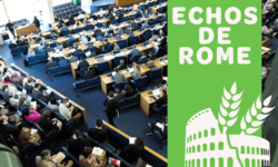 Echos-de-Rome-20191-aspect-ratio-5x3
