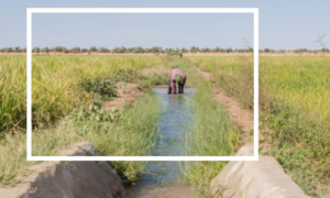 Au croisement des pratiques humanitaires et de développement dans les crises prolongées au-croisement-des-pratiques-humanitaires-et-de-developpement-dans-les-crises-prolongees