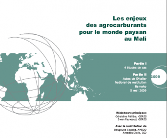 Les enjeux des agrocarburants pour le monde paysan au Mali – Geres Les enjeux des agrocarburants pour le monde paysan au Mali – Geres