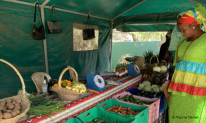 appel-a-projets-promotion-de-lagriculture-familiale-en-afrique-de-louest-pafao-2022