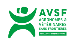LOGO-AVSF-HORIZONTAL-V2-VSF-VERT-aspect-ratio-5-3