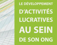 Le-développement-d’activités-lucratives-au-sein-de-son-ONG-376x282-1-aspect-ratio-2x3