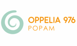 Oppelia 976 POPAM
