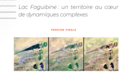 Mali_Etude-Faguibine_FINAL-docx-AFD-Mali_Etude-Faguibine_FINAL-1-pdf-aspect-ratio-2-2.87