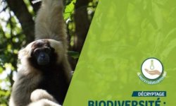 Note-biodiversite-2020-aspect-ratio-2-2.87