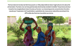 Notes-30-egalite_femmes_hommes_Agriculture_durable-aspect-ratio-2-2.87
