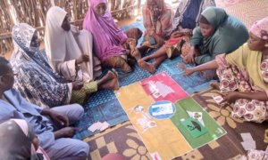 Un outil d’éducation nutritionnelle ludique pour renforcer la prévention de la malnutrition infantile au Niger un-outil-deducation-nutritionnelle-ludique-pour-renforcer-la-prevention-de-la-malnutrition-infantile-au-niger