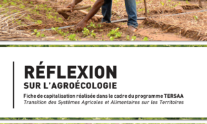 AgroĂ©cologie : expertises et stratĂ©gies mises en Ćuvre dans le cadre du programme TERSAA agroecologie-expertises-et-strategies-mises-en-oeuvre-dans-le-cadre-du-programme-tersaa