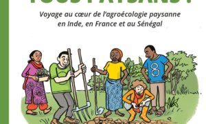 La Bande dessinée de SOL la-bande-dessinee-de-sol