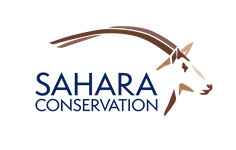 sahara-conservation-fund--europe