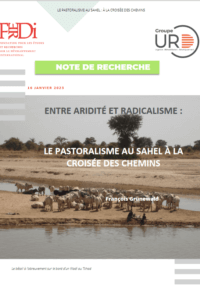 entre-aridite-et-radicalisme-le-pastoralisme-au-sahel-a-la-croisee-des-chemins