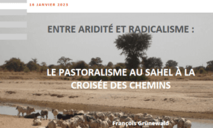 entre-aridite-et-radicalisme-le-pastoralisme-au-sahel-a-la-croisee-des-chemins