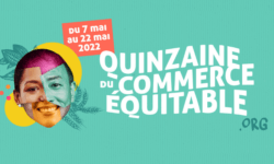 CEF-QCE22