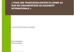 evaluation-du-projet-pour-une-transversalisation-du-genre-au-sein-des-organisations-de-solidarite-internationale