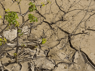 Le Gret, acteur de la transition écologique et climatique Le Gret, acteur de la transition écologique et climatique
