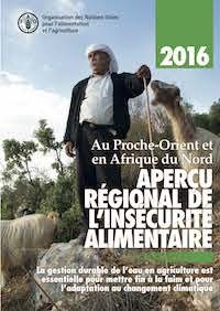 Gestion durable de l’eau en agriculture et adaptation au changement climatique – FAO Gestion durable de l’eau en agriculture et adaptation au changement climatique – FAO