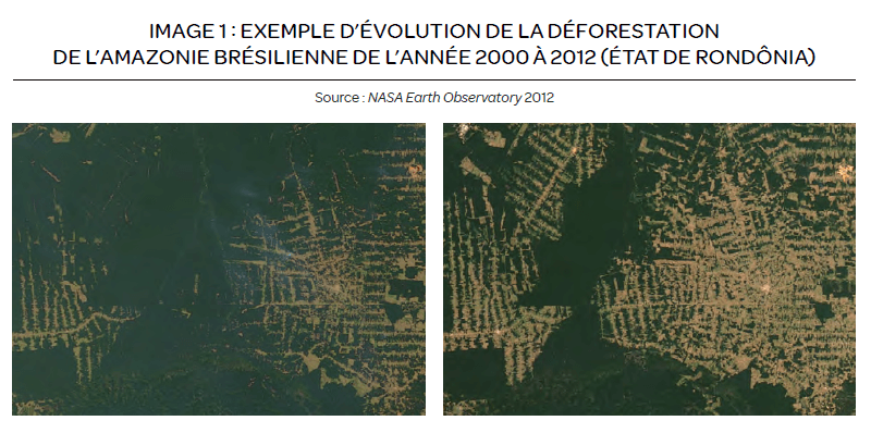 Carte Amazonie et déforestation