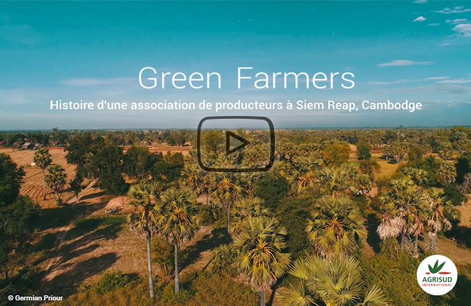 Film sur les green farmers de siem reap au Cambodge Film sur les green farmers de siem reap au Cambodge