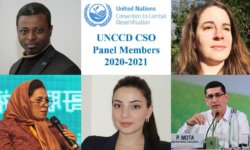 image-of-for-the-CSO-panel-final-aspect-ratio-5x3