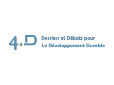 4D 4D