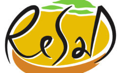 logo-resad-sans-texte-aspect-ratio-5-3