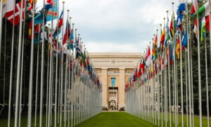 Coordination SUD aux Nations Unies à Genève, nos priorités pour une diplomatie féministe ambitieuse coordination-sud-aux-nations-unies-a-geneve-nos-priorites-pour-une-diplomatie-feministe-ambitieuse