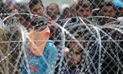migrations-credit-Shuterstock-aspect-ratio-5-3