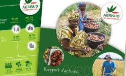 montage-csud-rapport-agrisud Rapport annuel 2020 Agrisud International