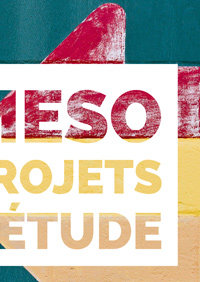 Etude Méso Projets