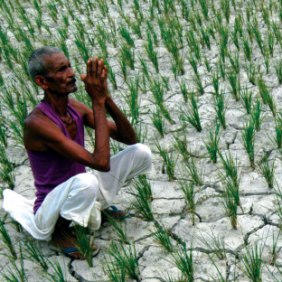 Suivi des promesses de la France en matière de financements pour le changement climatique – Oxfam Suivi des promesses de la France en matière de financements pour le changement climatique – Oxfam