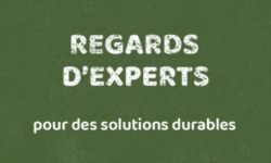 regards-experts-solutions-durables-CSUD Agrisud complète sa série vidéo “Solutions Durables” avec le regard d’experts et de professionnels
