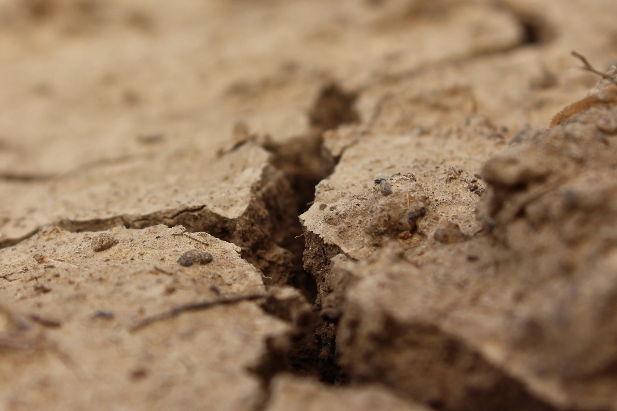 sand-rock-wood-road-desert-land-1063755-pxhere.com