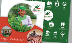 visuel-actu-csud-rapport-agrisud-2019 Rapport annuel 2019 Agrisud International