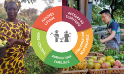 visuel-analyse-resilience-systemes-alimentaires-3_Plan-de-travail-1-aspect-ratio-5-3