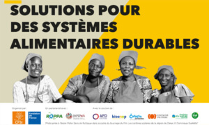 Solutions pour des systèmes alimentaires durables solutions-pour-des-systemes-alimentaires-durables
