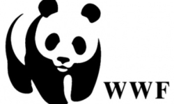 wwf-logo-aspect-ratio-5-3
