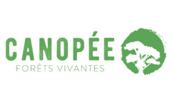 Canopée